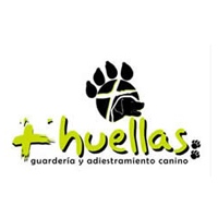 Entrevista Residencia Canina Mas Huellas