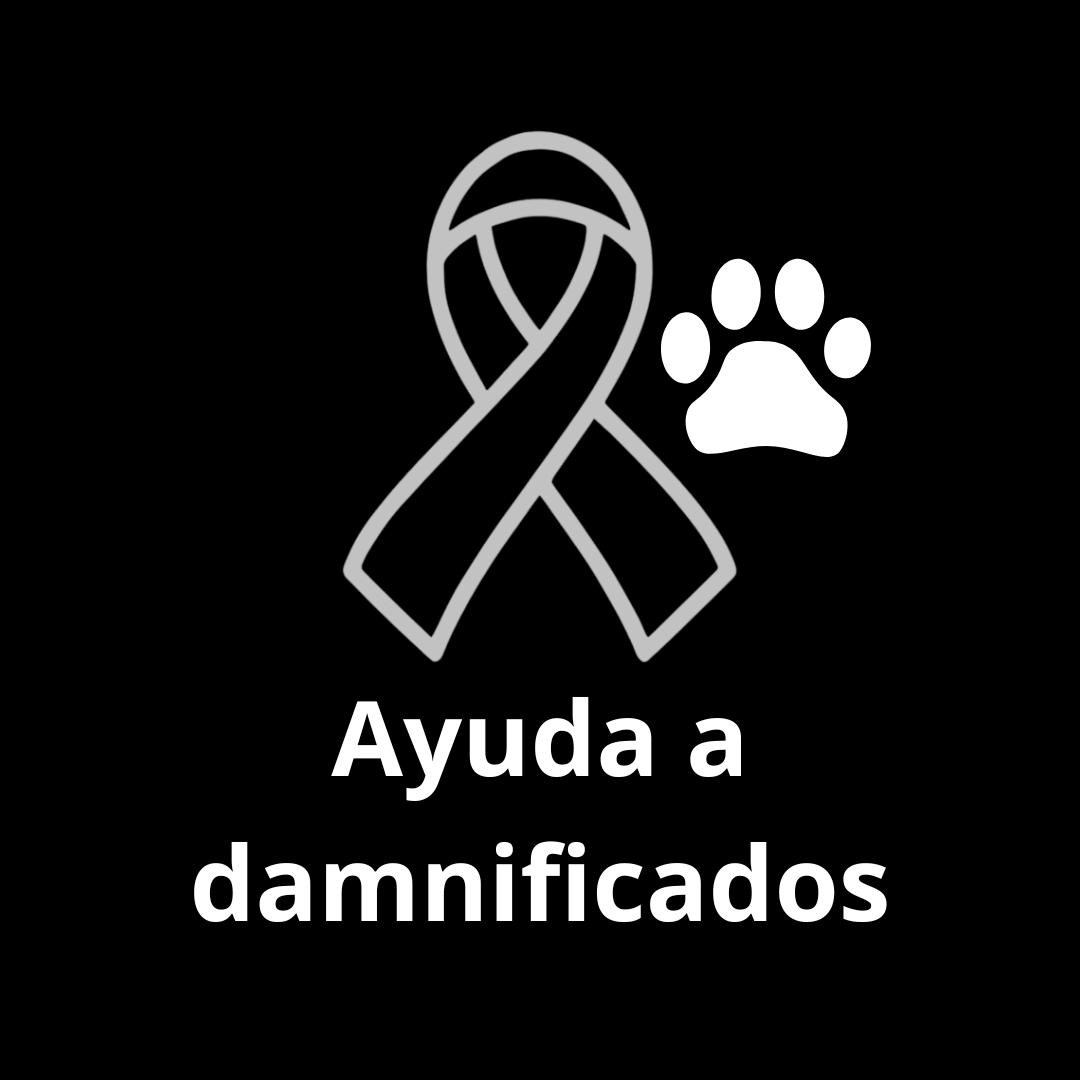 ASCELCRE OFRECE AYUDA A LOS DAMNIFICADOS DE LA DANA