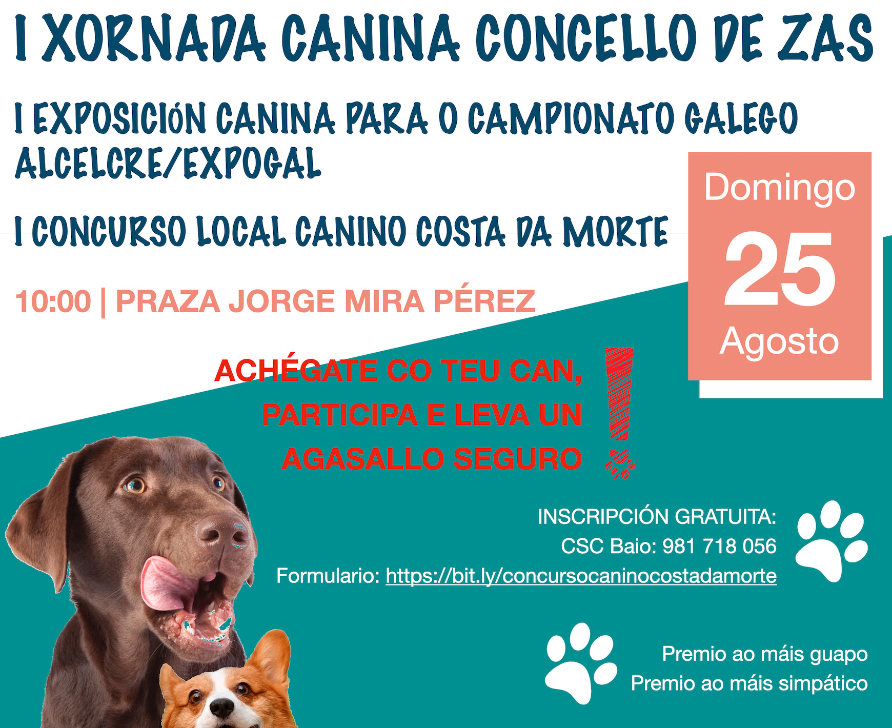 I Exposici&oacute;n Canina del Campeonato Gallego ASCELCRE/EXPOGAL