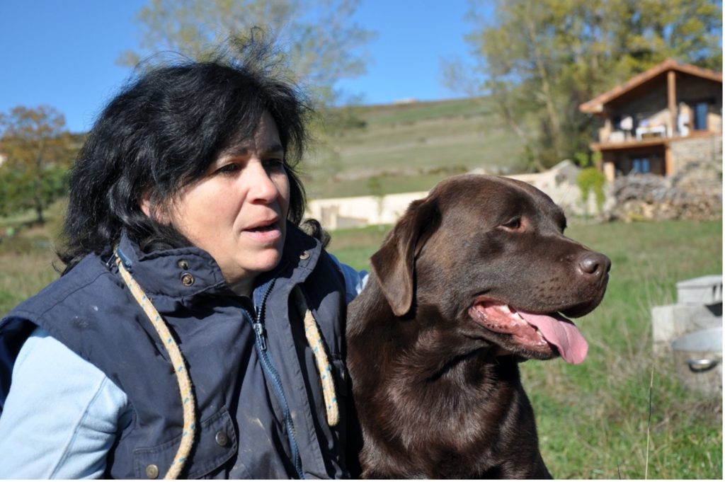 Entrevista a Canis Amicus