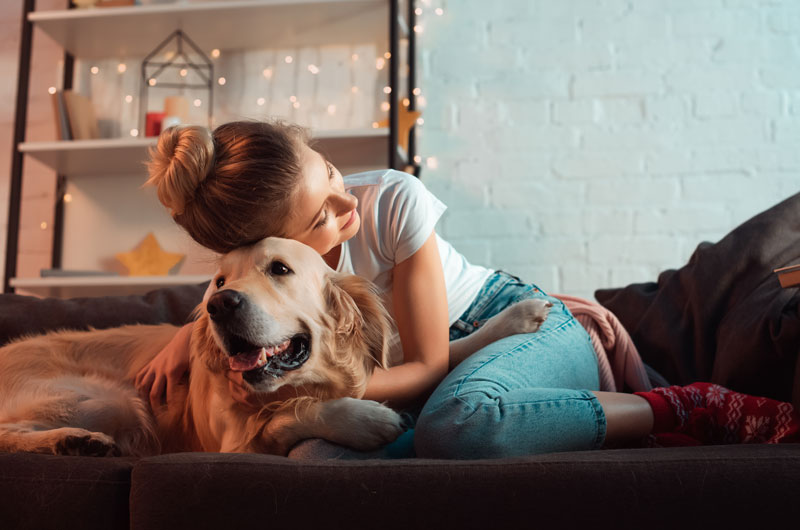 Los animales no son cosas. Actualizaci&oacute;n del C&oacute;digo Civil