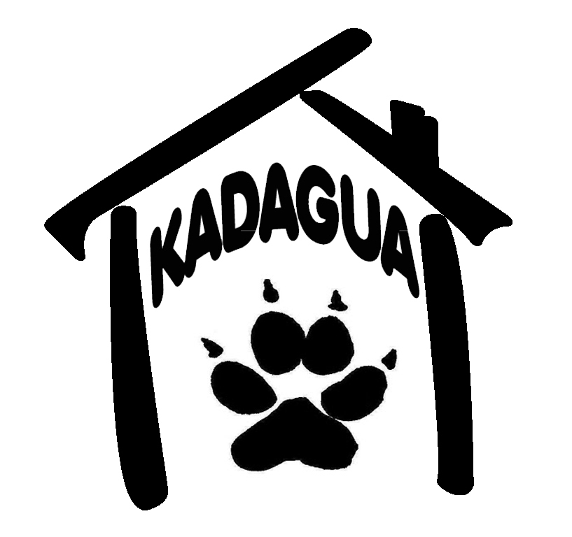 Entrevista Residencia Canina Kadagua