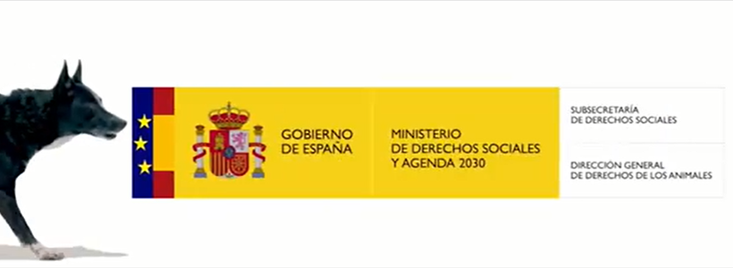 ASCELCRE participa como  vocal en el Consejo Estatal de Proteccion Animal