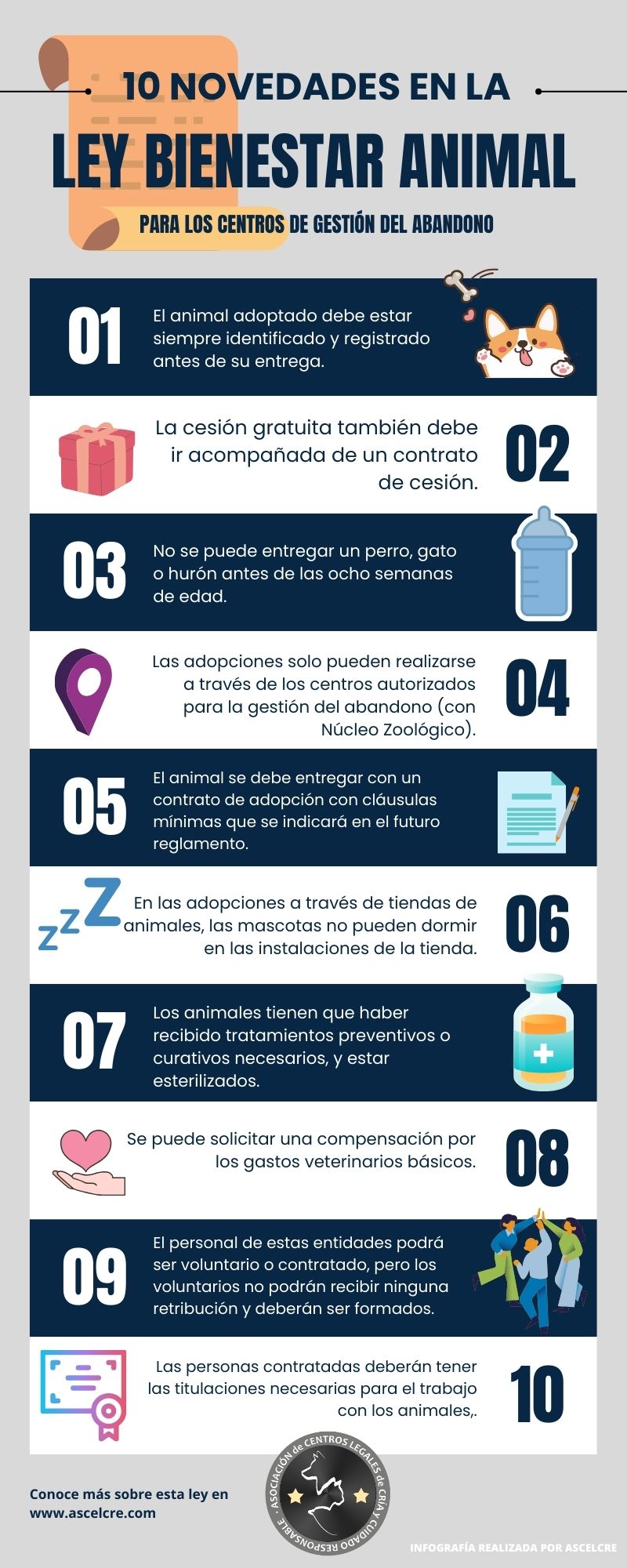 10 Novedades de Ley Bienestar Animal